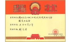 五十萬(wàn)伏試驗(yàn)線段及成套輸變電設(shè)備特等獎(jiǎng)